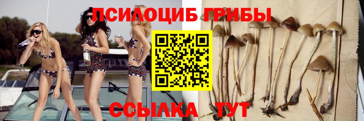 Белореченск  Псилоцибиновые грибы Cubensis  Вход с VPN  Галлюциногенные грибы мицелий 